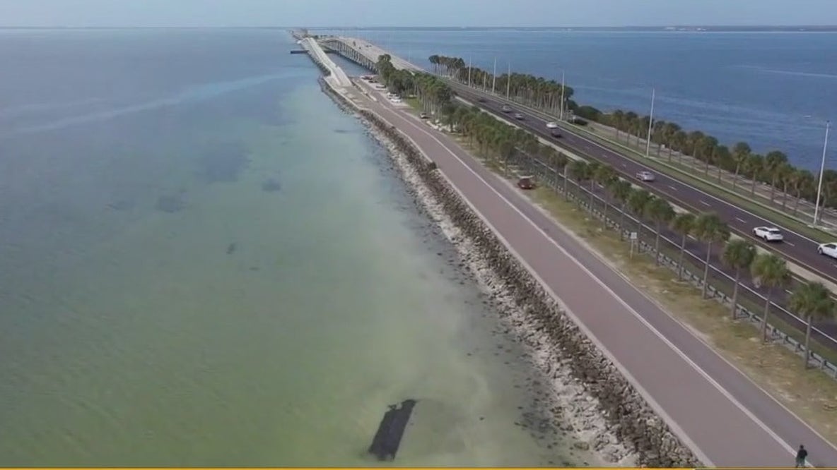 History of the Courtney Campbell Causeway